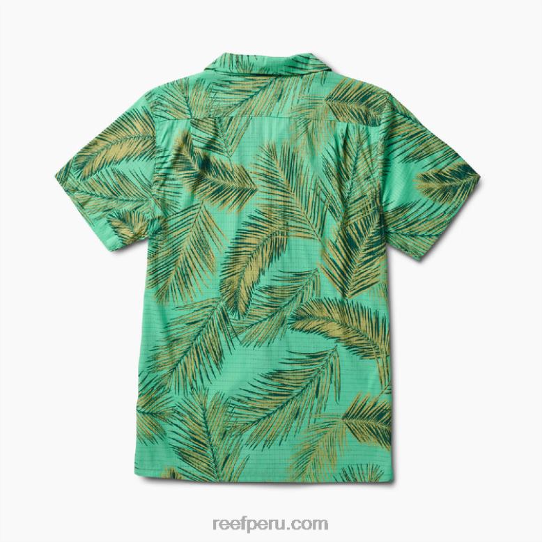 camisa de manga corta peters verde electrico 0RZL2668 hombres Reef - Image 4