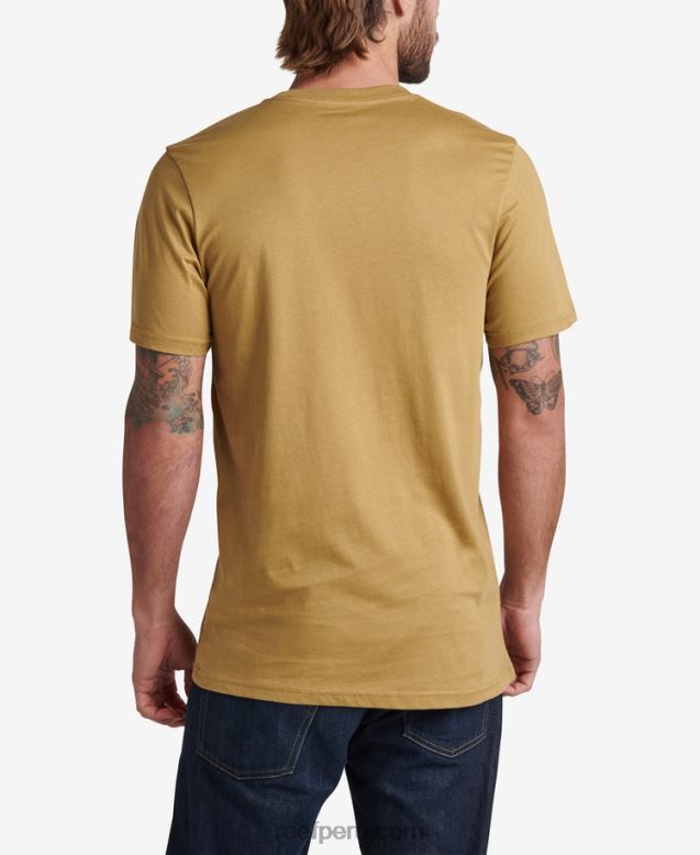 camiseta de manga corta ellsworth semillas de hinojo 0RZL2593 hombres Reef - Image 2
