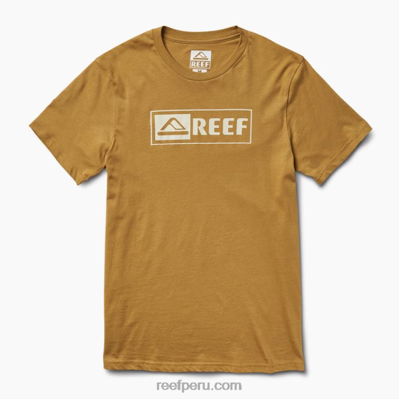 camiseta de manga corta ellsworth semillas de hinojo 0RZL2593 hombres Reef - Image 3
