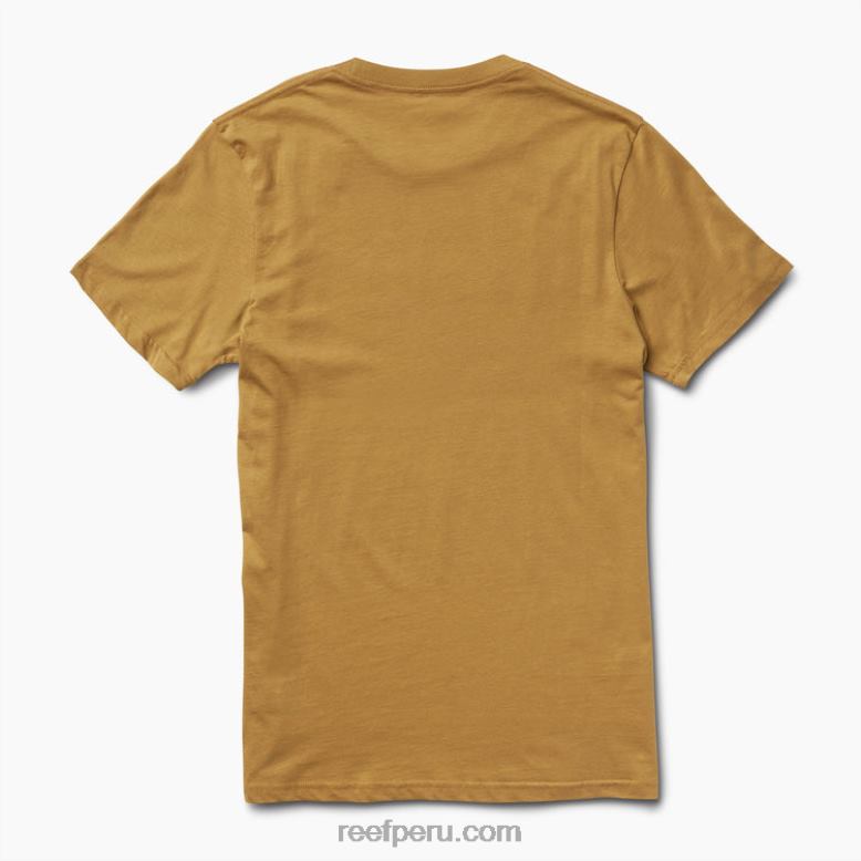 camiseta de manga corta ellsworth semillas de hinojo 0RZL2593 hombres Reef - Image 4