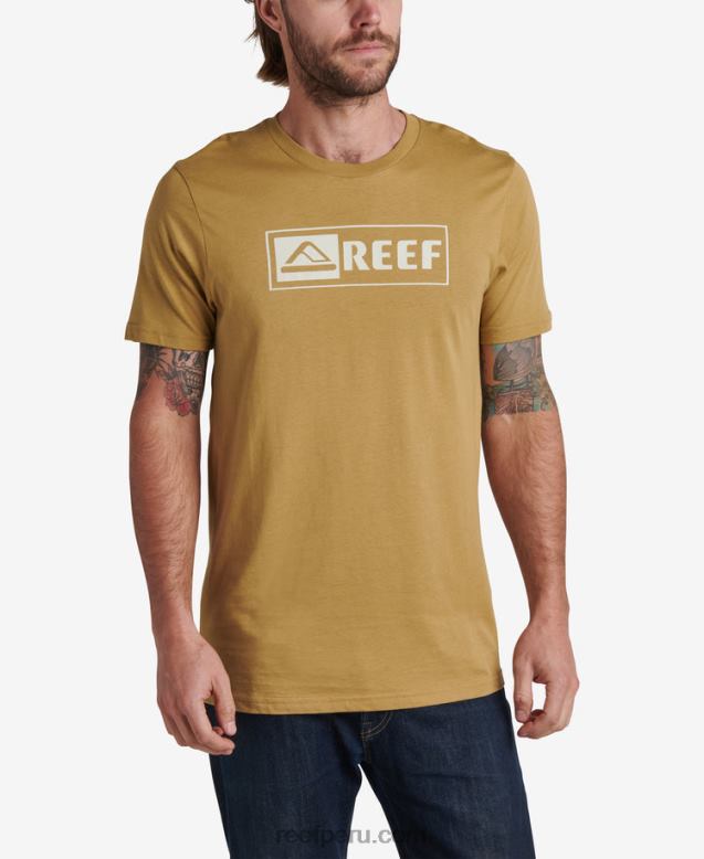 camiseta de manga corta ellsworth semillas de hinojo 0RZL2593 hombres Reef - Image 1