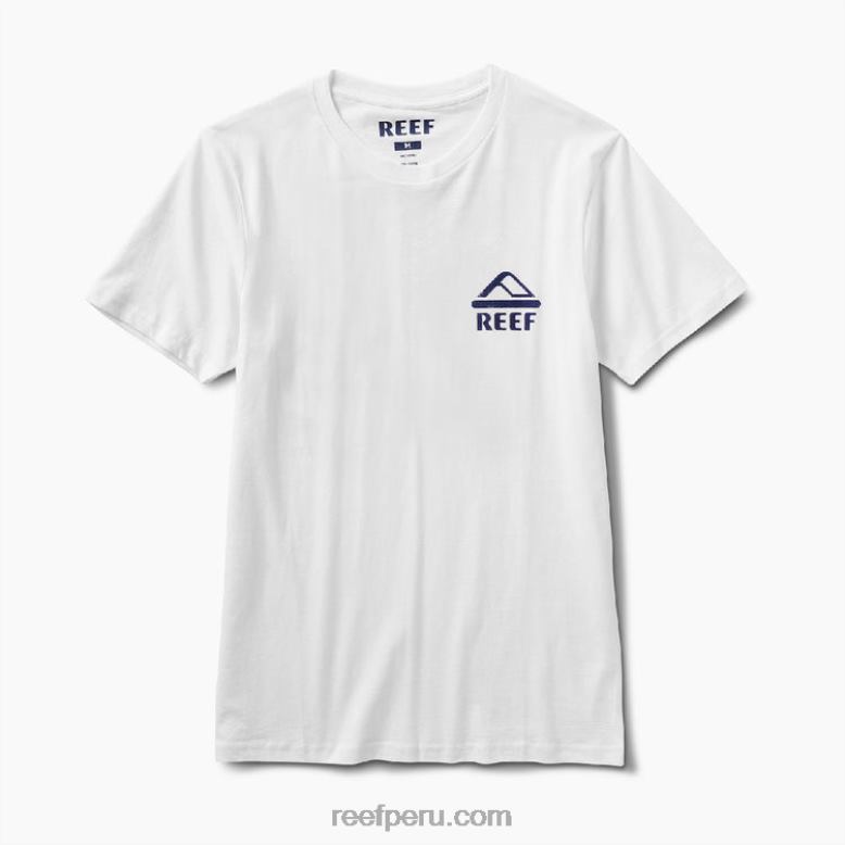 camiseta jamison manga corta malvavisco 0RZL2553 hombres Reef - Image 4