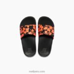 niños una diapositiva coral hibisco 0RZL2890Reef