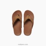 cojín infantil fantasma broncearse 0RZL2839Reef