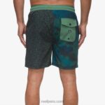 shorts de playa elliot con cintura elástica 17" hiedra oscura 0RZL2700 hombres Reef - Image 2