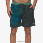 shorts de playa elliot con cintura elástica 17" hiedra oscura 0RZL2700 hombres Reef